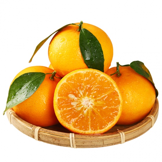 Quýt Thái của nông dân